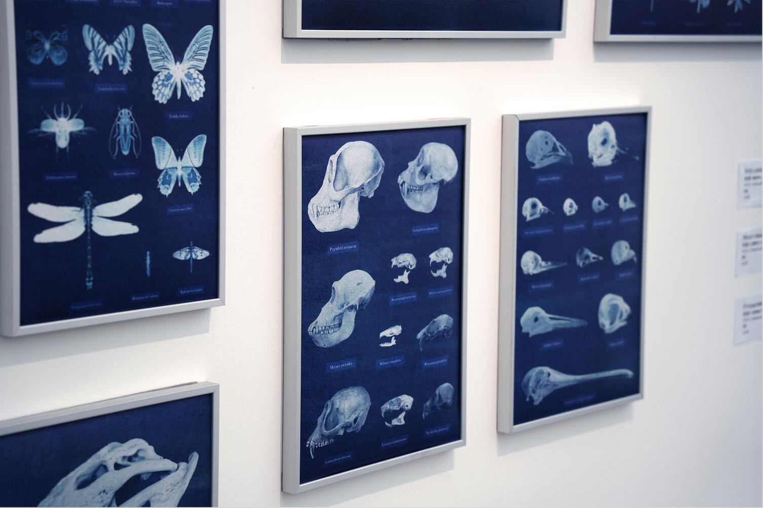 Quiet Sound - Exhibition