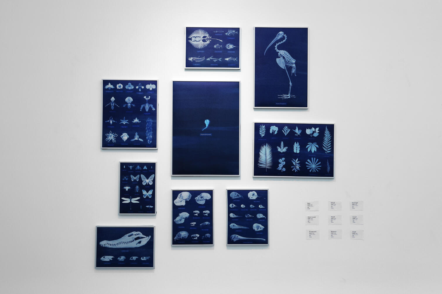 Quiet Sound - Exhibition